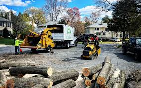 Best Commercial Tree Services  in Lake City, SC